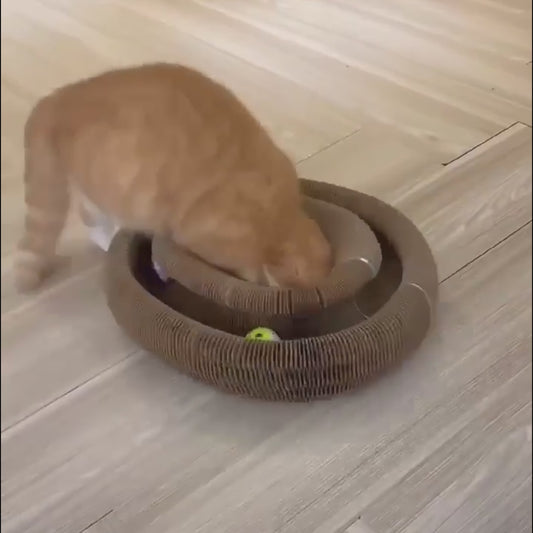 退屈知らずの猫へ｜ボール付き爪とぎトイ